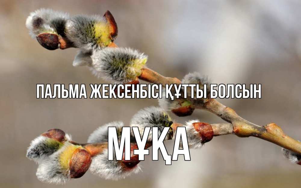 Күн сайын ашық хат с именем, МҰҚА Пальма жексенбісі құтты болсын Верба Онлайн тегін жүктеп алу тілектері бар керемет карта 
