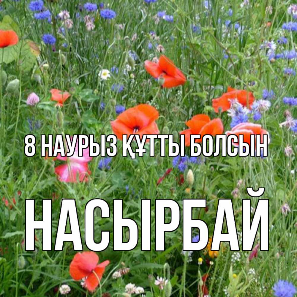 Күн сайын ашық хат с именем, Насырбай 8 наурыз құтты болсын международный женский день 4 Онлайн тегін жүктеп алу тілектері бар керемет карта 