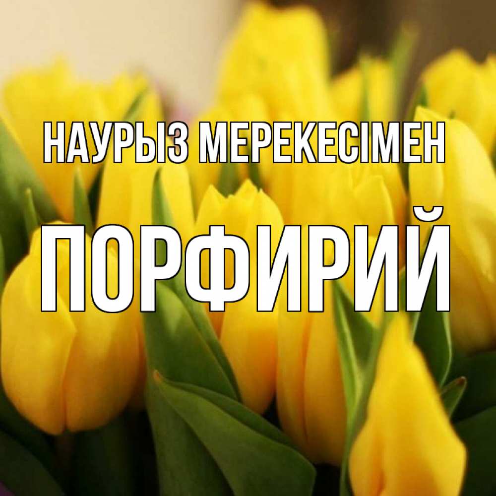 Күн сайын ашық хат с именем, Порфирий Наурыз мерекесімен цветы Онлайн тегін жүктеп алу тілектері бар керемет карта 
