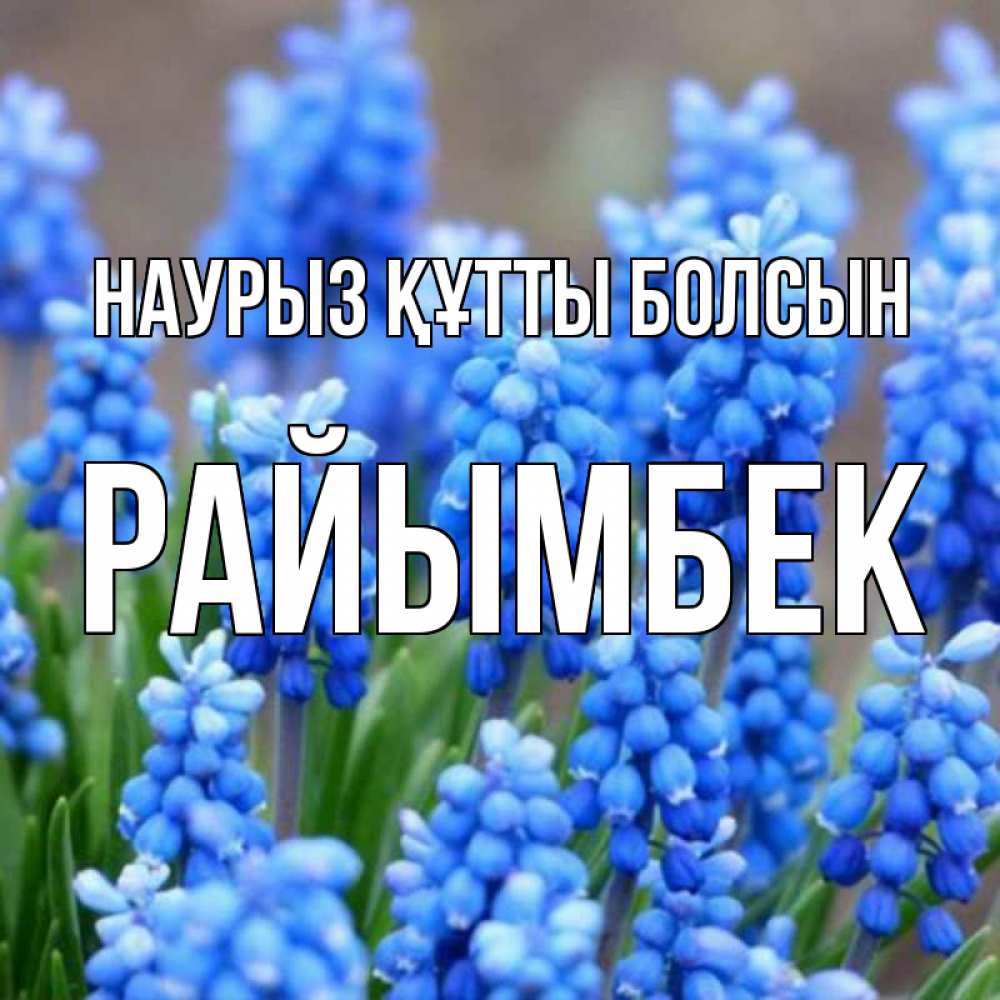 Күн сайын ашық хат с именем, РАЙЫМБЕК Наурыз құтты болсын Поздравительная открытка для женщин с цветами на праздничную дату Онлайн тегін жүктеп алу тілектері бар керемет карта 