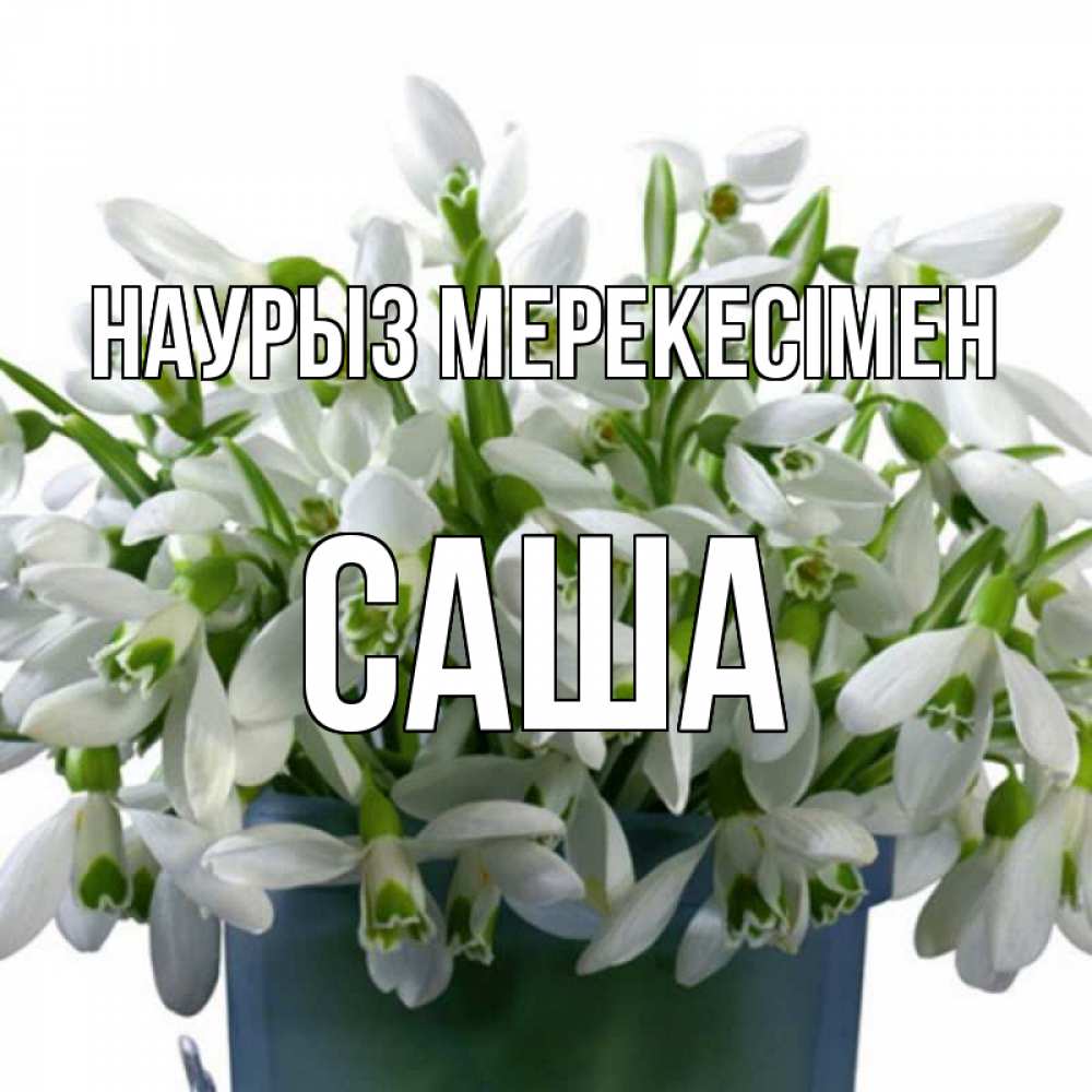 Күн сайын ашық хат с именем, Саша Наурыз мерекесімен цветы к наурызу новый год в Казахстане Онлайн тегін жүктеп алу тілектері бар керемет карта 