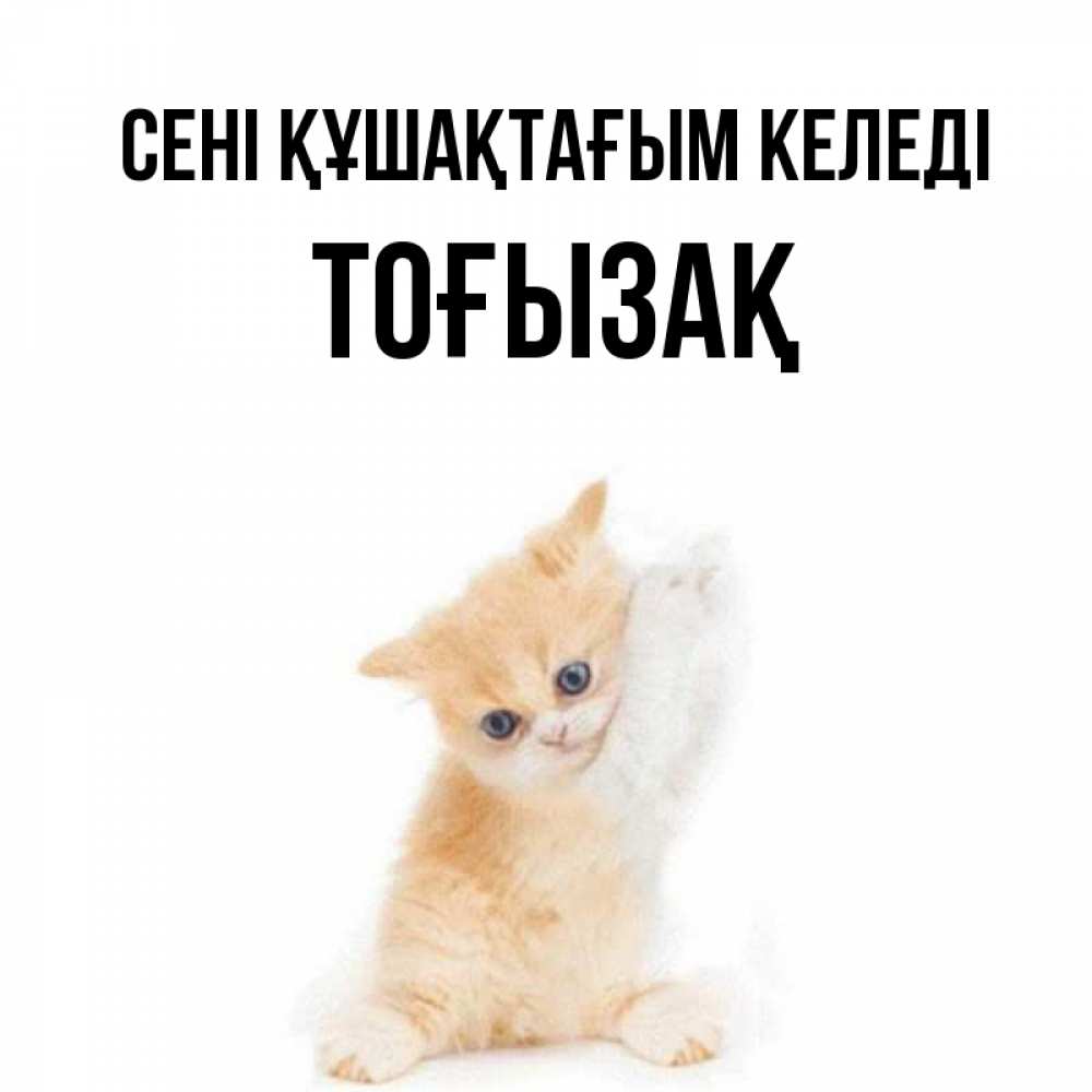 Күн сайын ашық хат с именем, ТОҒЫЗАҚ сені құшақтағым келеді я хочу очень скорее обнимаешек Онлайн тегін жүктеп алу тілектері бар керемет карта 