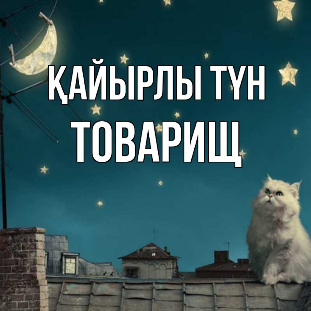Күн сайын ашық хат с именем, Товарищ Қайырлы түн белый кот сидит на крыше Онлайн тегін жүктеп алу тілектері бар керемет карта 