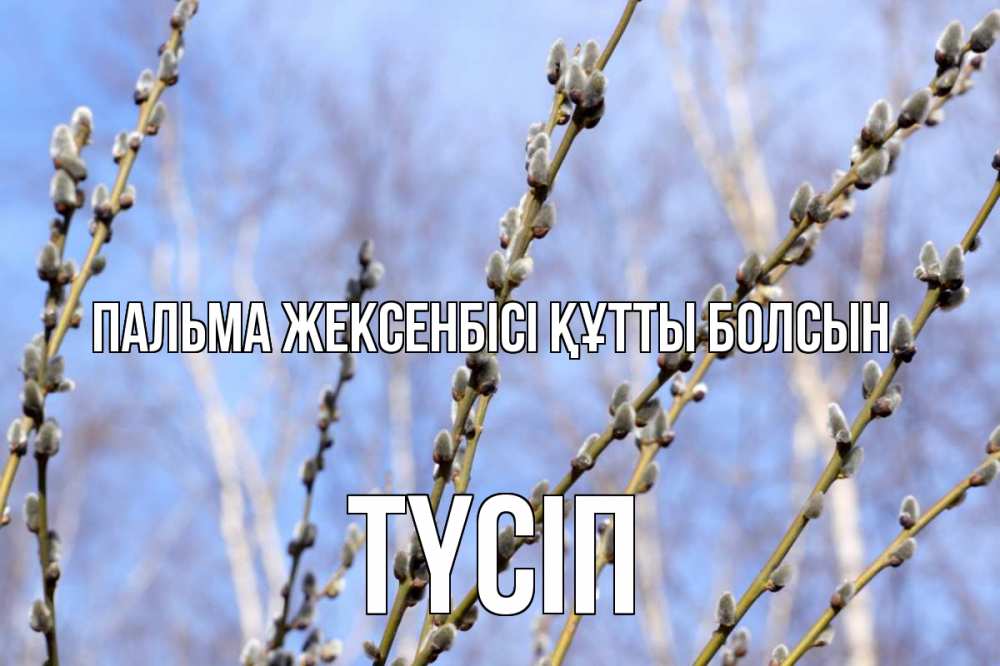 Күн сайын ашық хат с именем, ТҮСІП Пальма жексенбісі құтты болсын верба Онлайн тегін жүктеп алу тілектері бар керемет карта 