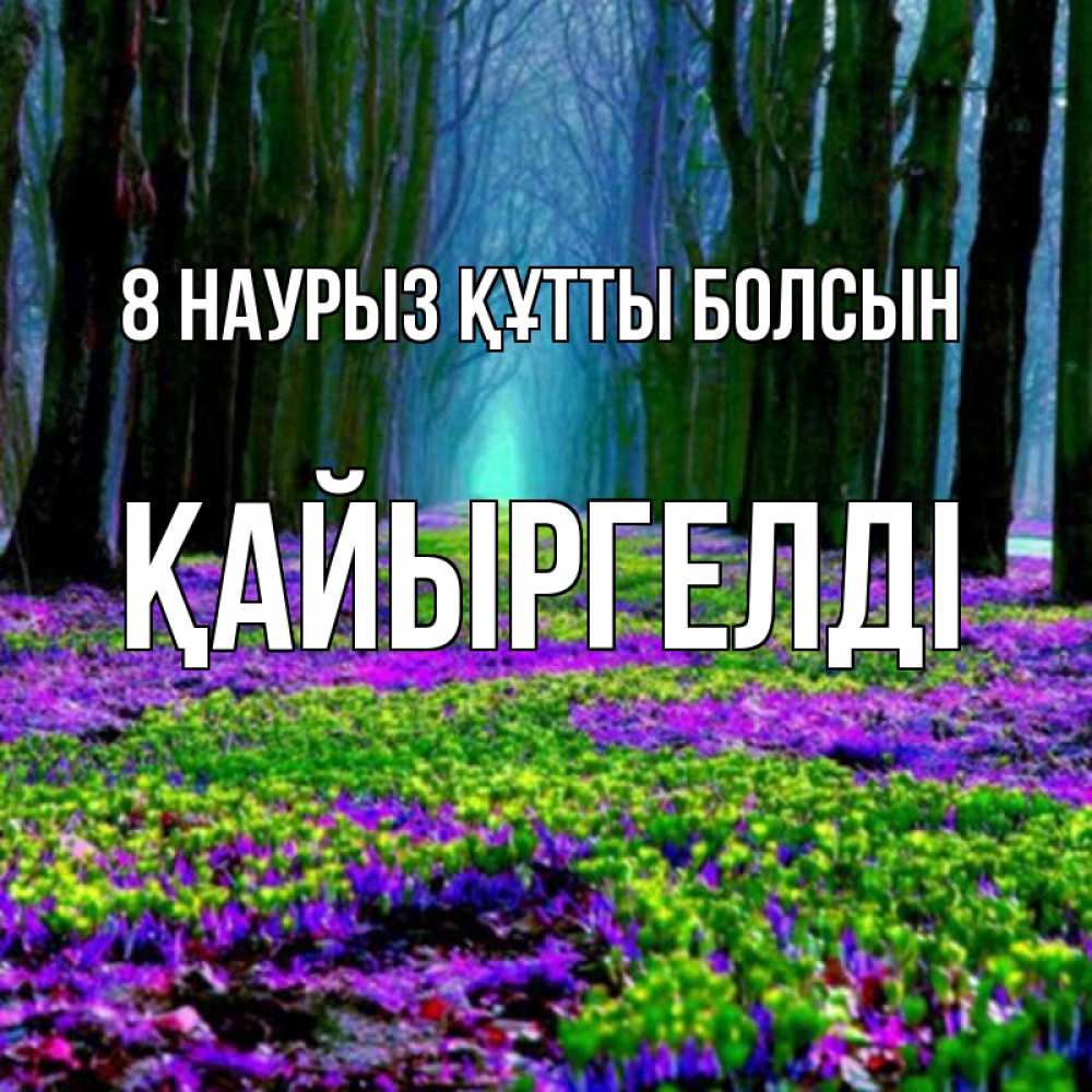 Күн сайын ашық хат с именем, Қайыргелді 8 наурыз құтты болсын фиолетовые цветы в лесу 1 Онлайн тегін жүктеп алу тілектері бар керемет карта 