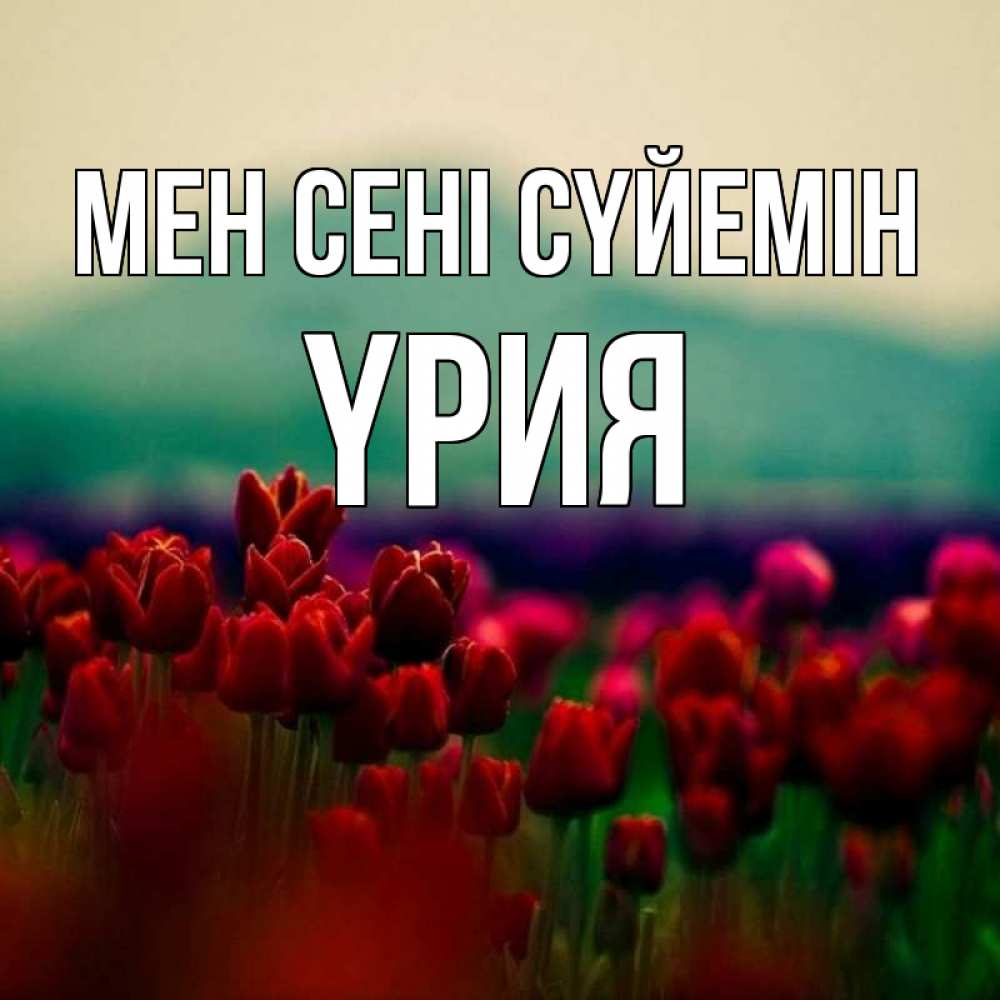 Күн сайын ашық хат с именем, ҮРИЯ Мен сені сүйемін тюльпаны 4 Онлайн тегін жүктеп алу тілектері бар керемет карта 