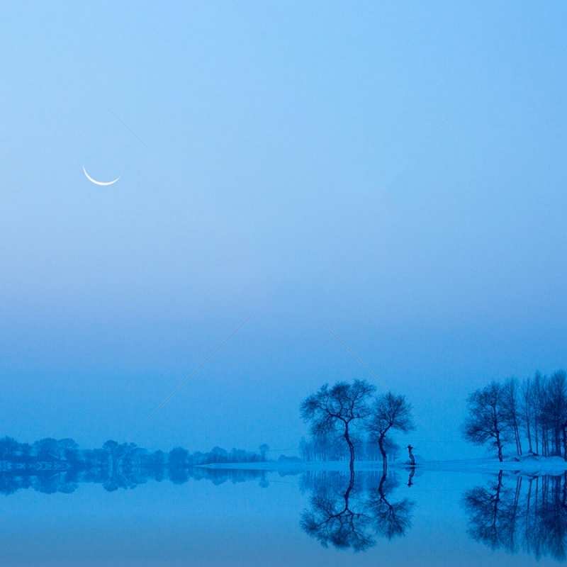 Открытка отражения деревьев в воде  весна  Қайырлы түн 