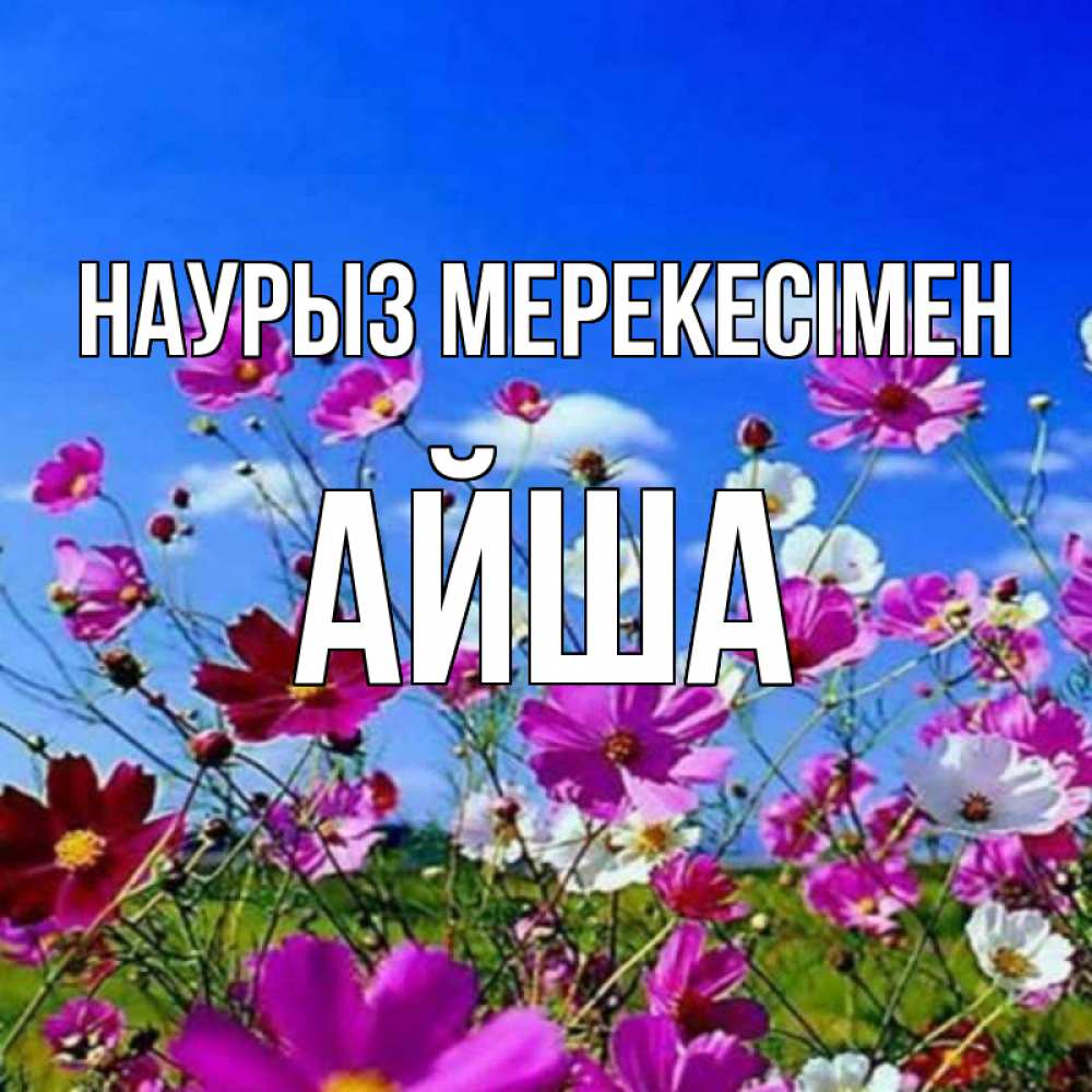 Күн сайын ашық хат с именем, АЙША Наурыз мерекесімен цветы Онлайн тегін жүктеп алу тілектері бар керемет карта 