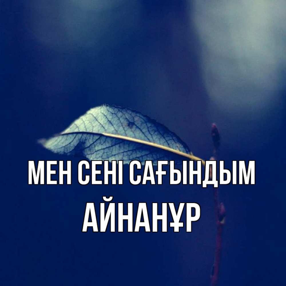 Күн сайын ашық хат с именем, Айнанұр Мен сені сағындым одна ветка 1 Онлайн тегін жүктеп алу тілектері бар керемет карта 