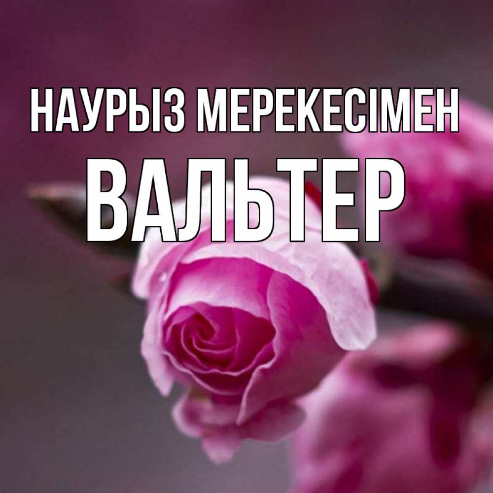 Күн сайын ашық хат с именем, Вальтер Наурыз мерекесімен весна Онлайн тегін жүктеп алу тілектері бар керемет карта 