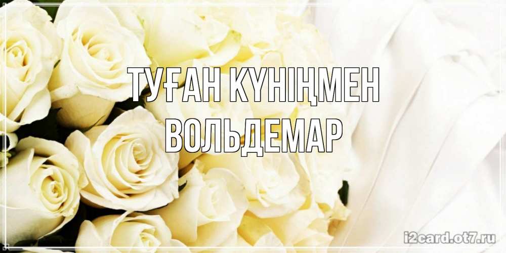 Күн сайын ашық хат с именем, Вольдемар Туған күніңмен белые розы в букете Онлайн тегін жүктеп алу тілектері бар керемет карта 