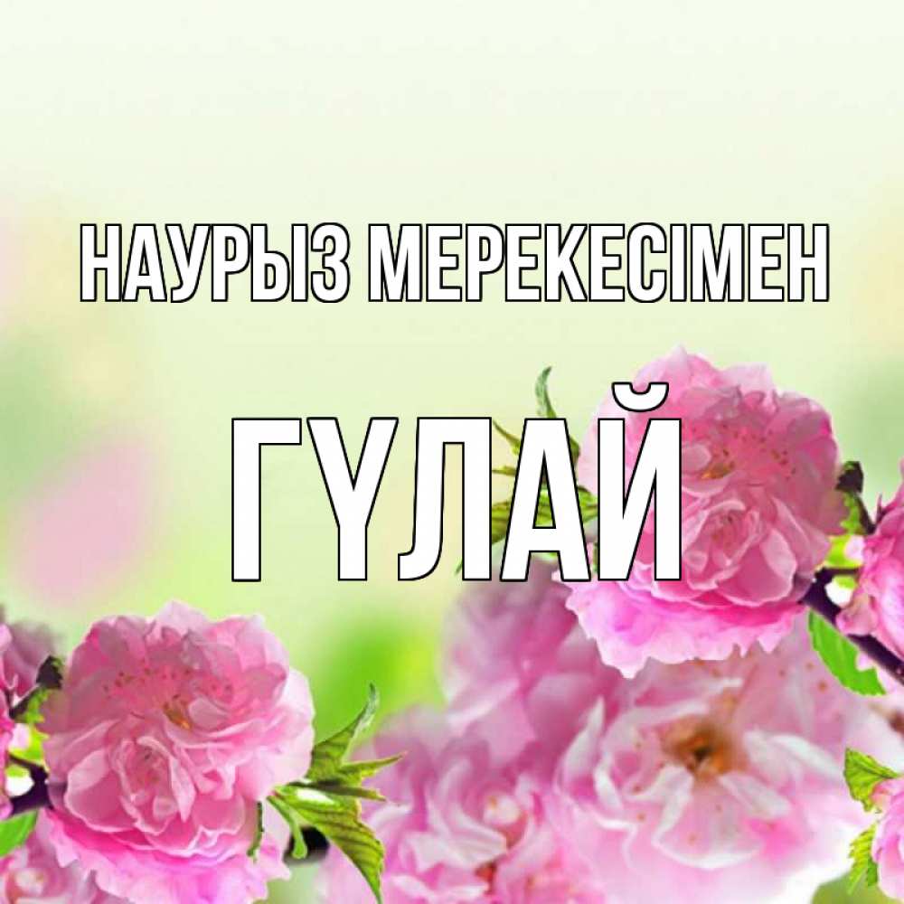 Күн сайын ашық хат с именем, ГҮЛАЙ Наурыз мерекесімен цветы Онлайн тегін жүктеп алу тілектері бар керемет карта 