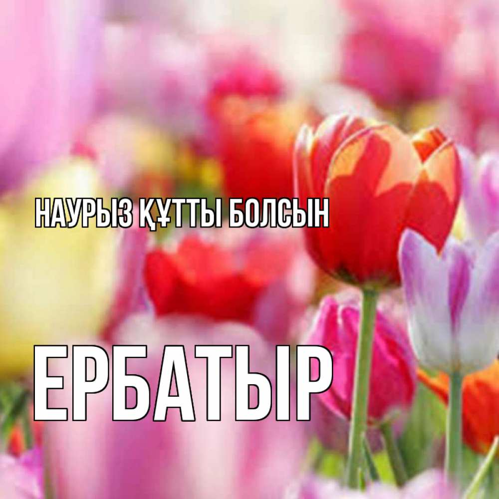 Күн сайын ашық хат с именем, Ербатыр Наурыз құтты болсын на наурыз  2 Онлайн тегін жүктеп алу тілектері бар керемет карта 