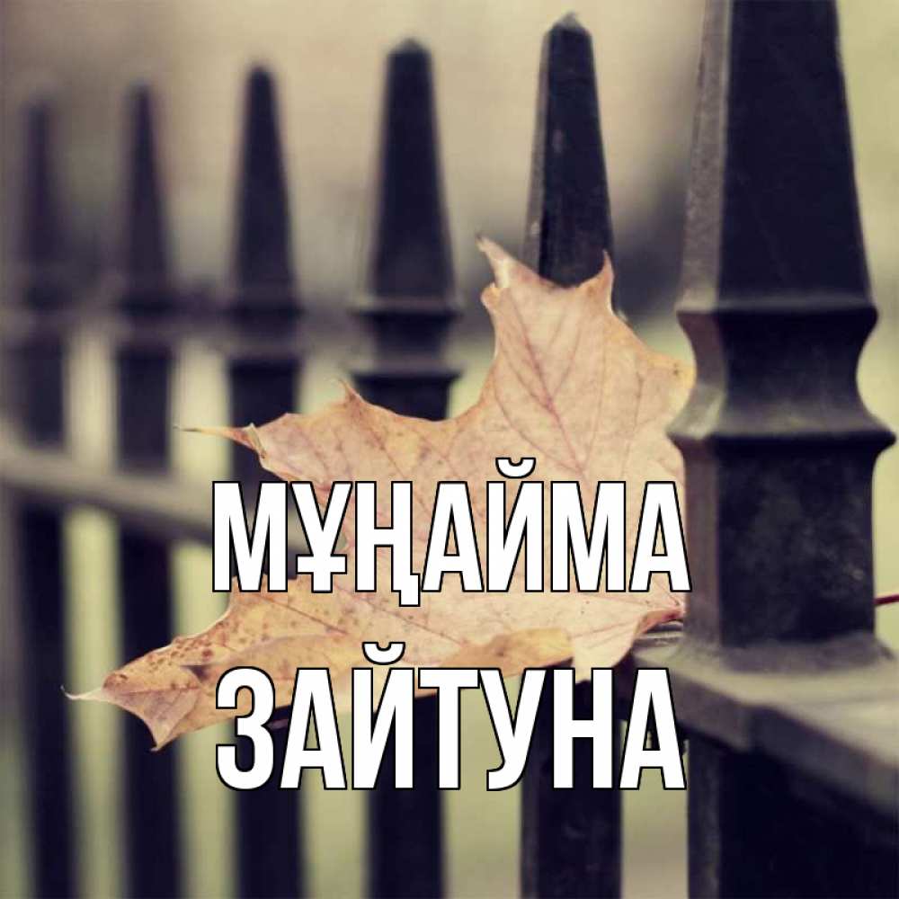 Күн сайын ашық хат с именем, ЗАЙТУНА Мұңайма лист клена Онлайн тегін жүктеп алу тілектері бар керемет карта 