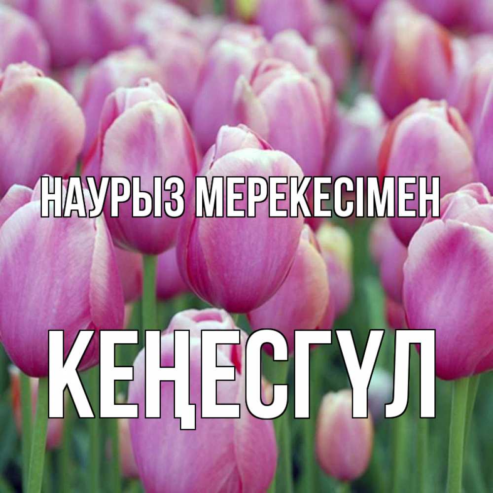Күн сайын ашық хат с именем, КЕҢЕСГҮЛ Наурыз мерекесімен праздник весны наурыз 69 Онлайн тегін жүктеп алу тілектері бар керемет карта 