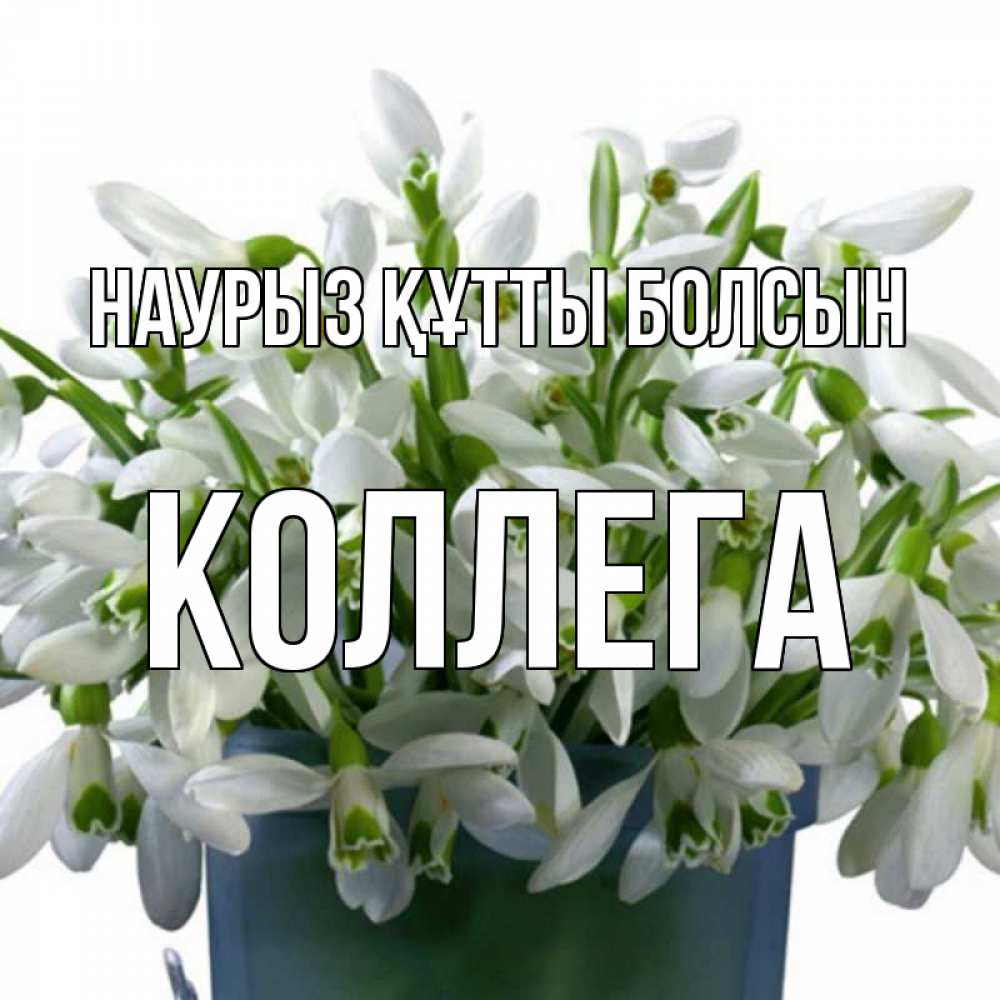 Күн сайын ашық хат с именем, Коллега Наурыз құтты болсын цветы к наурызу Онлайн тегін жүктеп алу тілектері бар керемет карта 
