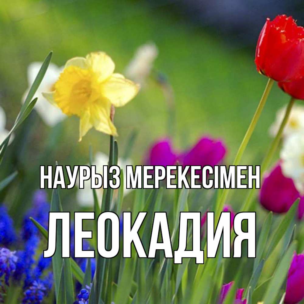 Күн сайын ашық хат с именем, Леокадия Наурыз мерекесімен праздник весны наурыз 3 Онлайн тегін жүктеп алу тілектері бар керемет карта 