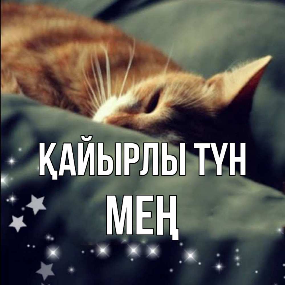 Күн сайын ашық хат с именем, МЕҢ Қайырлы түн кроватка Онлайн тегін жүктеп алу тілектері бар керемет карта 