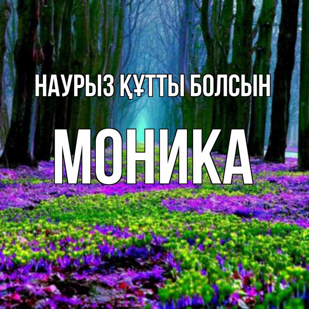 Күн сайын ашық хат с именем, Моника Наурыз құтты болсын фиолетовые цветы в лесу 1 Онлайн тегін жүктеп алу тілектері бар керемет карта 