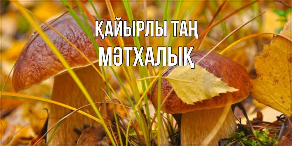 Күн сайын ашық хат с именем, МӘТХАЛЫҚ Қайырлы таң осенние грибы Онлайн тегін жүктеп алу тілектері бар керемет карта 