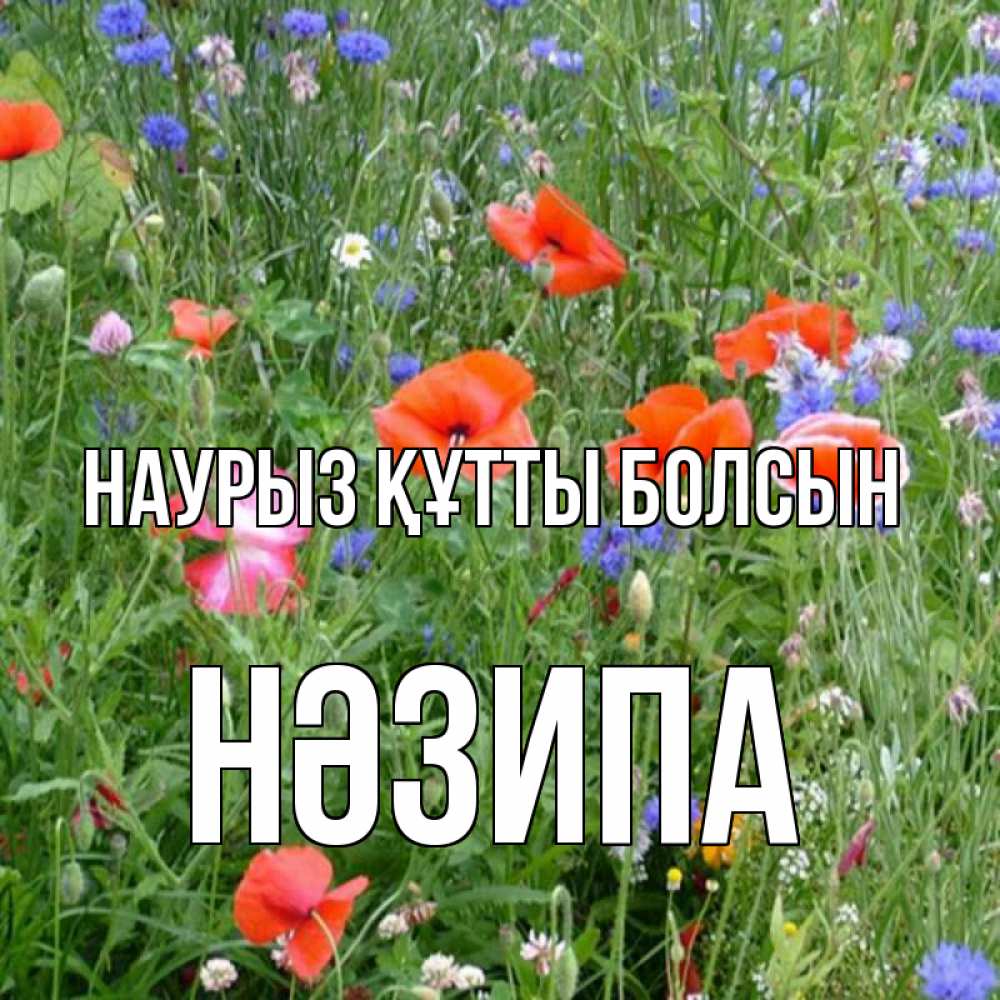 Күн сайын ашық хат с именем, НӘЗИПА Наурыз құтты болсын наурыз  4 Онлайн тегін жүктеп алу тілектері бар керемет карта 