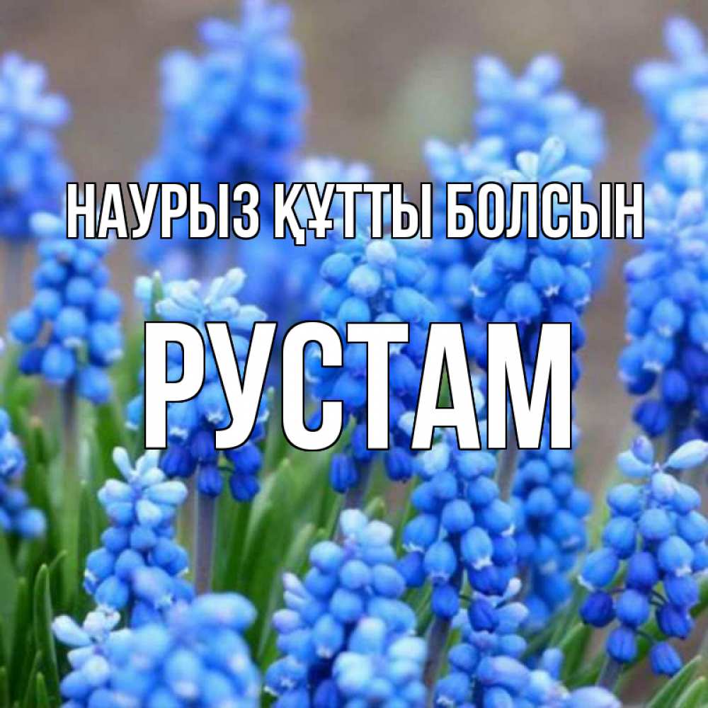 Күн сайын ашық хат с именем, Рустам Наурыз құтты болсын Поздравительная открытка для женщин с цветами на праздничную дату Онлайн тегін жүктеп алу тілектері бар керемет карта 