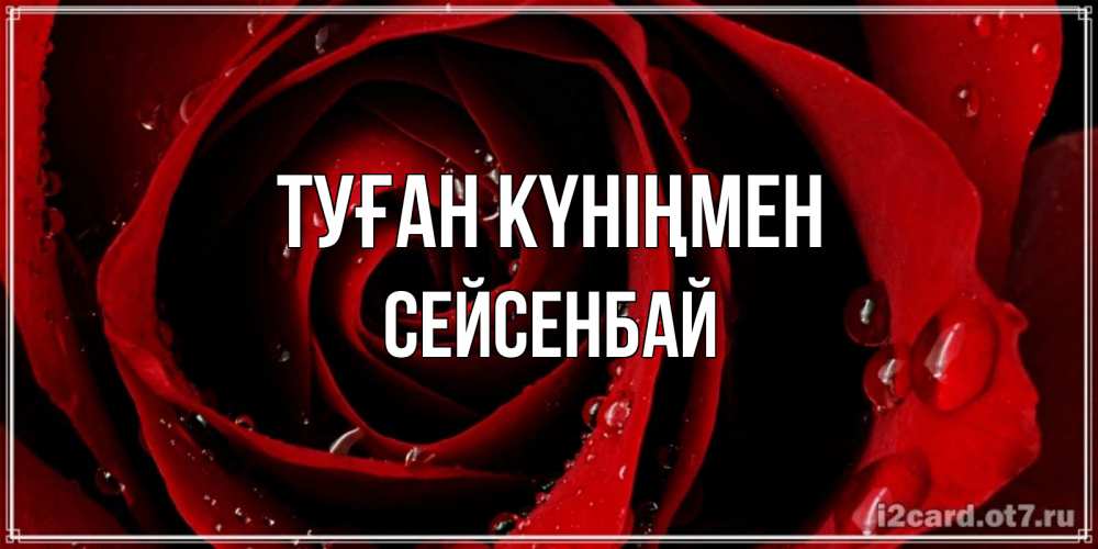 Күн сайын ашық хат с именем, СЕЙСЕНБАЙ Туған күніңмен крупная бордовая роза Онлайн тегін жүктеп алу тілектері бар керемет карта 
