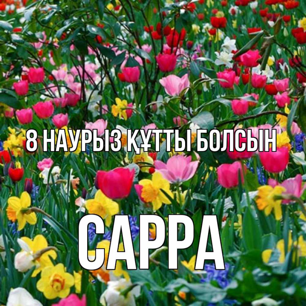 Күн сайын ашық хат с именем, Сарра 8 наурыз құтты болсын с международным женским днем поздравления для женщины Онлайн тегін жүктеп алу тілектері бар керемет карта 