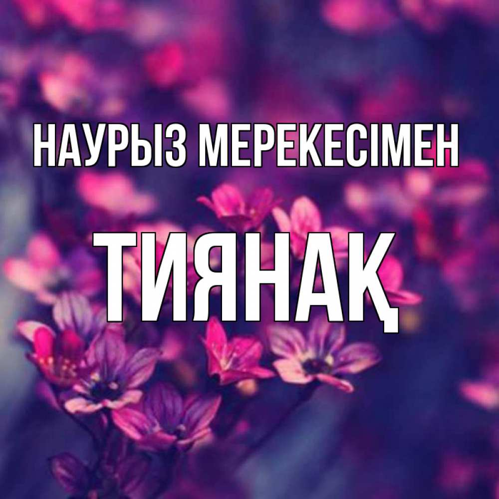Күн сайын ашық хат с именем, ТИЯНАҚ Наурыз мерекесімен небольшие цветы 1 Онлайн тегін жүктеп алу тілектері бар керемет карта 