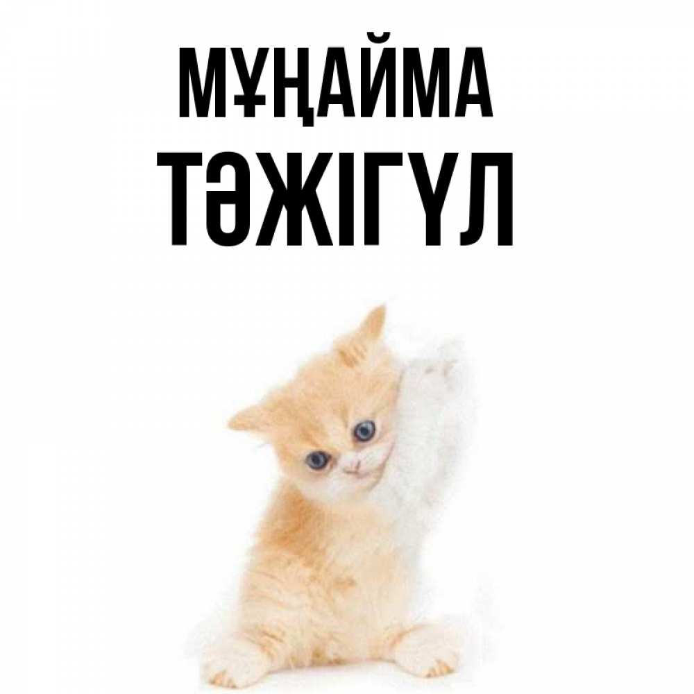 Күн сайын ашық хат с именем, ТӘЖІГҮЛ Мұңайма просящий кот Онлайн тегін жүктеп алу тілектері бар керемет карта 