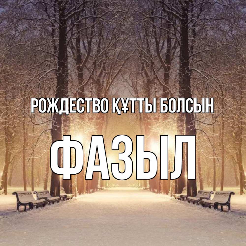 Күн сайын ашық хат с именем, ФАЗЫЛ Рождество құтты болсын зима, парк, фонарь, лес Онлайн тегін жүктеп алу тілектері бар керемет карта 