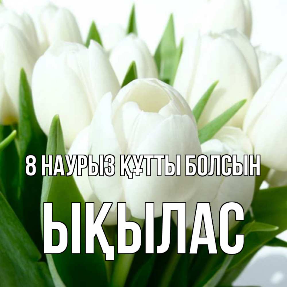 Күн сайын ашық хат с именем, ЫҚЫЛАС 8 наурыз құтты болсын цветы Онлайн тегін жүктеп алу тілектері бар керемет карта 