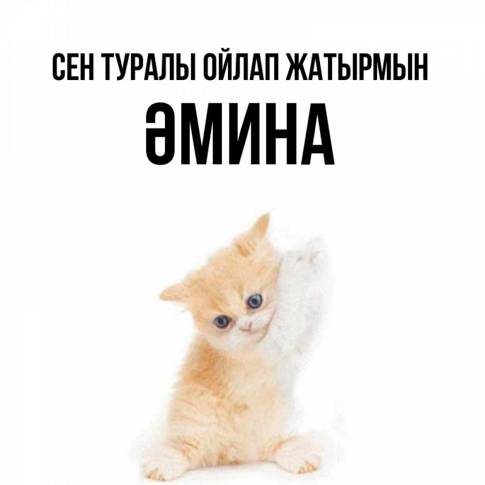 Күн сайын ашық хат с именем, ӘМИНА Сен туралы ойлап жатырмын зверушки и милота Онлайн тегін жүктеп алу тілектері бар керемет карта 