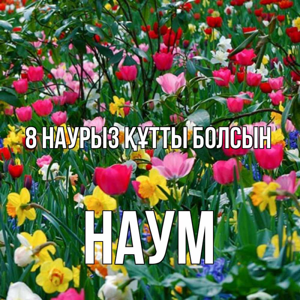 Күн сайын ашық хат с именем, Наум 8 наурыз құтты болсын с международным женским днем поздравления для женщины Онлайн тегін жүктеп алу тілектері бар керемет карта 