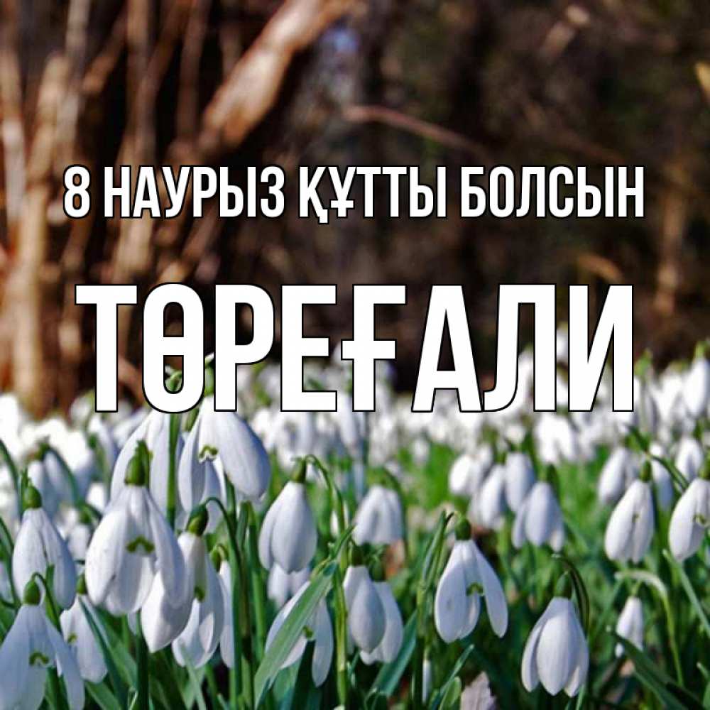 Күн сайын ашық хат с именем, Төреғали 8 наурыз құтты болсын с подснежниками 1 Онлайн тегін жүктеп алу тілектері бар керемет карта 
