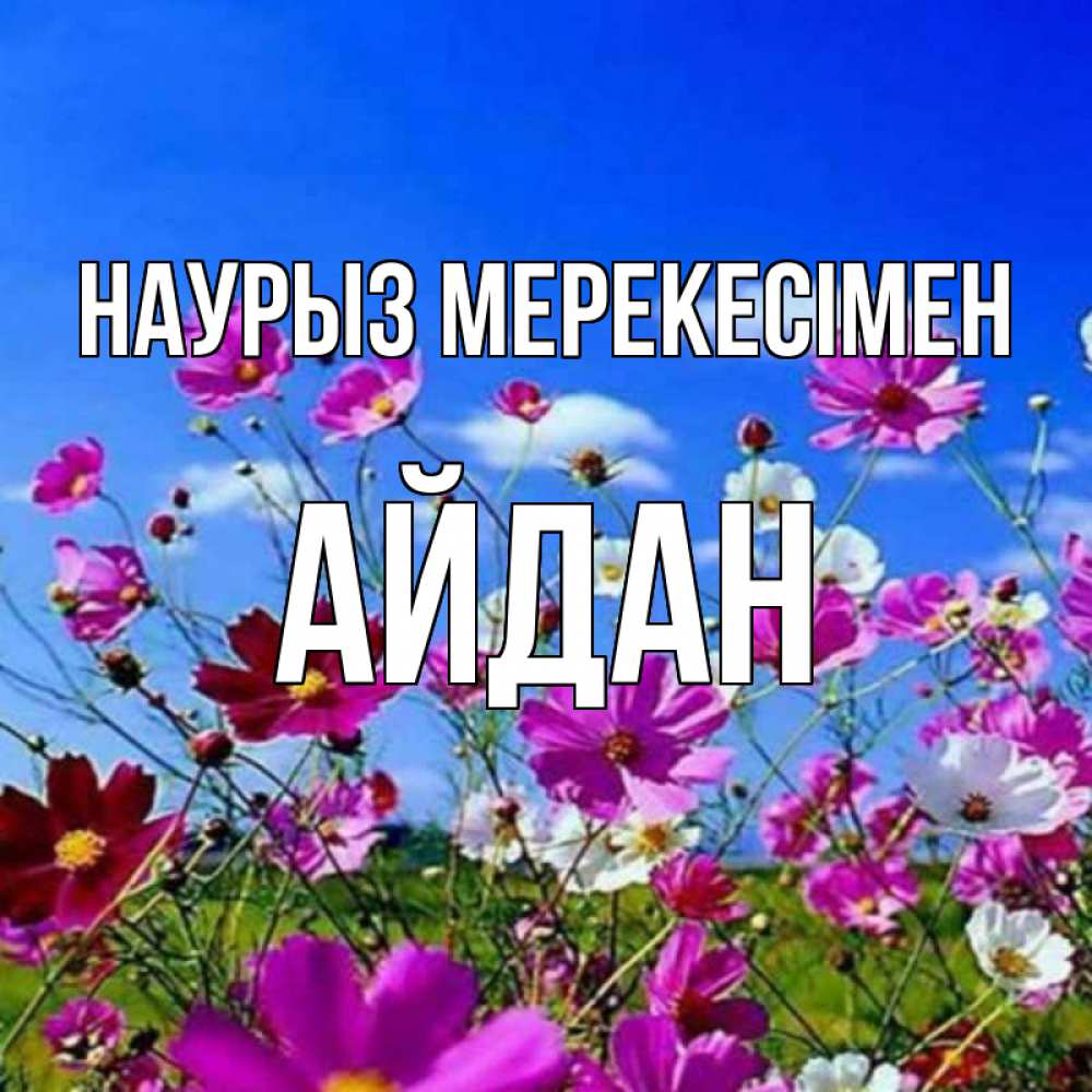 Күн сайын ашық хат с именем, Айдан Наурыз мерекесімен цветы Онлайн тегін жүктеп алу тілектері бар керемет карта 