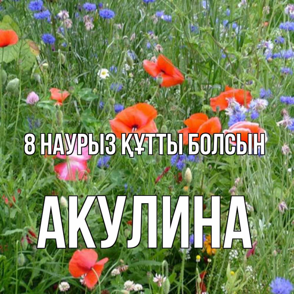 Күн сайын ашық хат с именем, Акулина 8 наурыз құтты болсын международный женский день 4 Онлайн тегін жүктеп алу тілектері бар керемет карта 