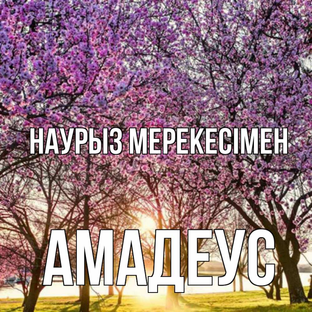 Күн сайын ашық хат с именем, Амадеус Наурыз мерекесімен праздник весны наурыз Онлайн тегін жүктеп алу тілектері бар керемет карта 