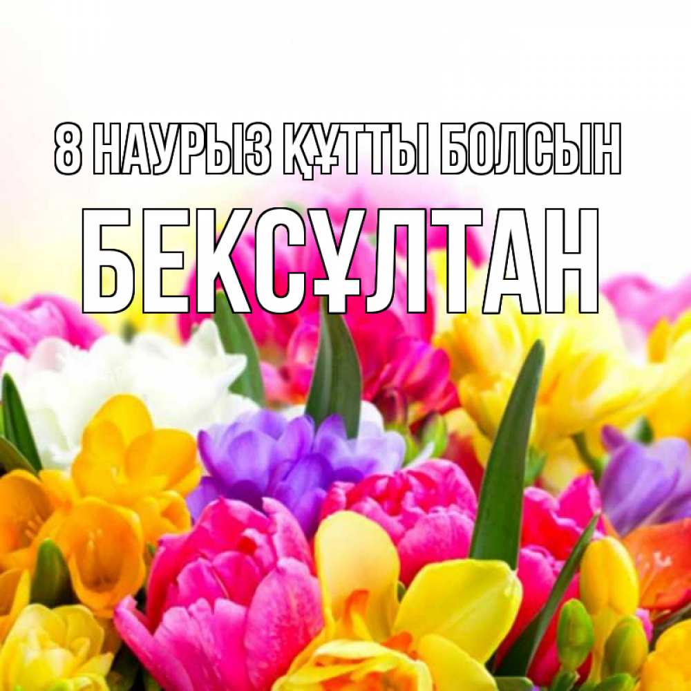 Күн сайын ашық хат с именем, Бексұлтан 8 наурыз құтты болсын тюльпаны Онлайн тегін жүктеп алу тілектері бар керемет карта 