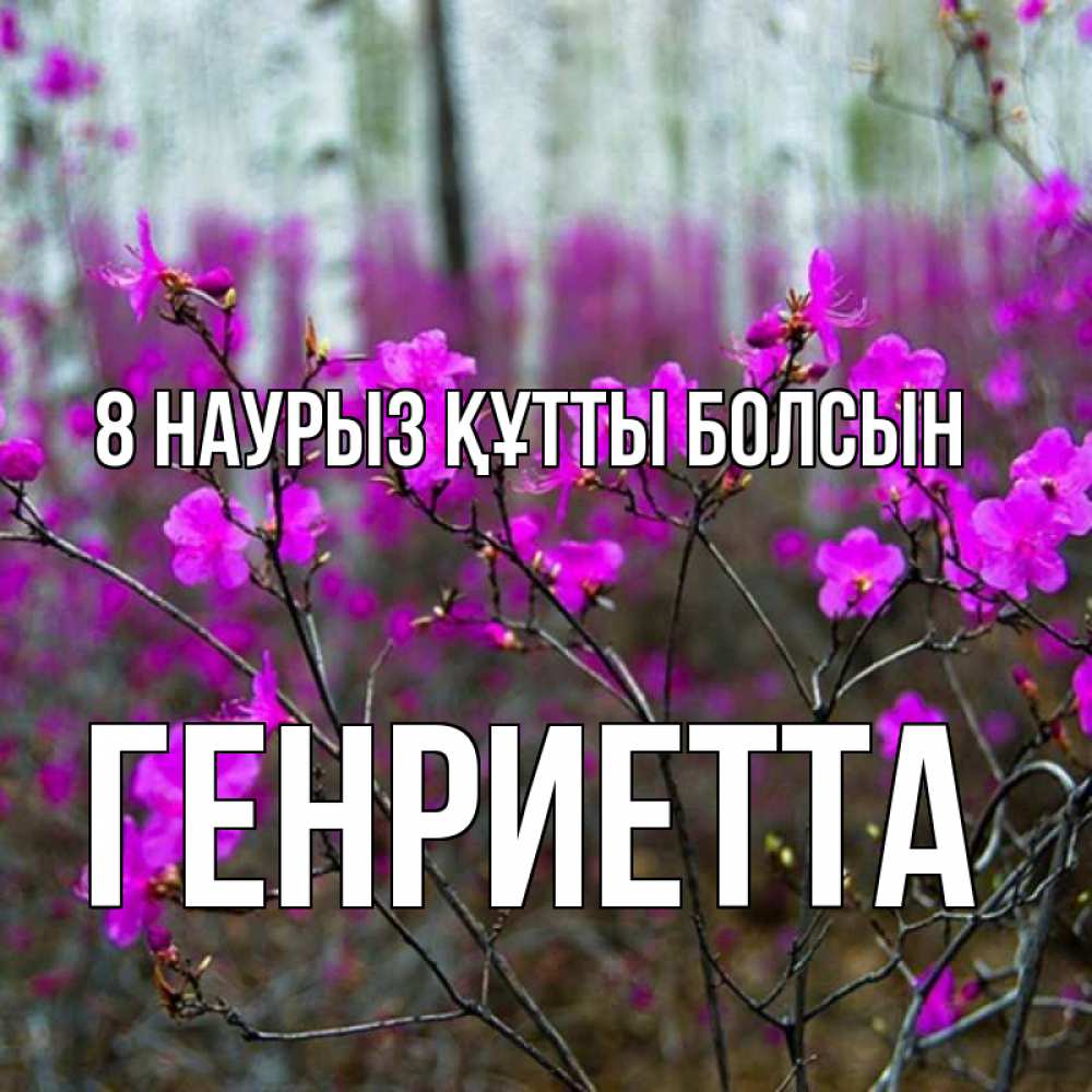 Күн сайын ашық хат с именем, Генриетта 8 наурыз құтты болсын дикие цветы Онлайн тегін жүктеп алу тілектері бар керемет карта 