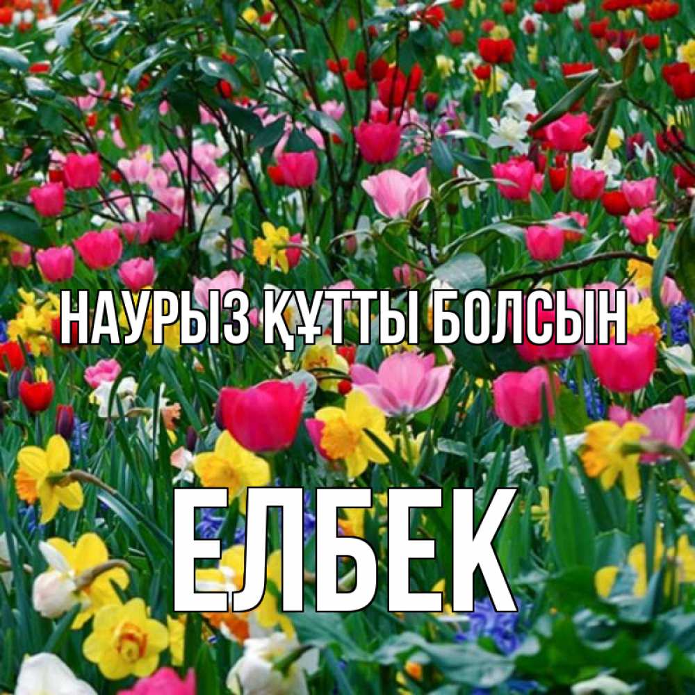 Күн сайын ашық хат с именем, Елбек Наурыз құтты болсын с наурызом поздравления для женщины Онлайн тегін жүктеп алу тілектері бар керемет карта 