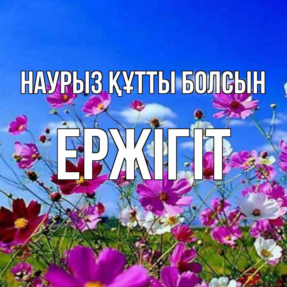 Күн сайын ашық хат с именем, Ержігіт Наурыз құтты болсын цветы Онлайн тегін жүктеп алу тілектері бар керемет карта 