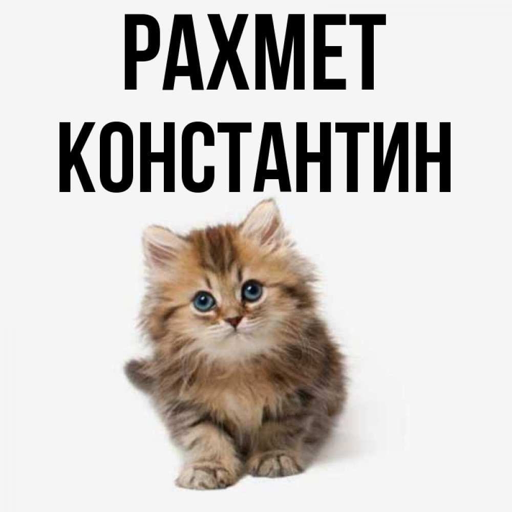 Күн сайын ашық хат с именем, Константин рахмет пушистый котик Онлайн тегін жүктеп алу тілектері бар керемет карта 