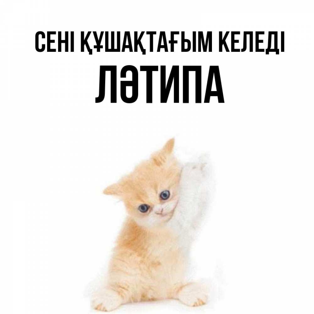 Күн сайын ашық хат с именем, ЛӘТИПА сені құшақтағым келеді я хочу очень скорее обнимаешек Онлайн тегін жүктеп алу тілектері бар керемет карта 