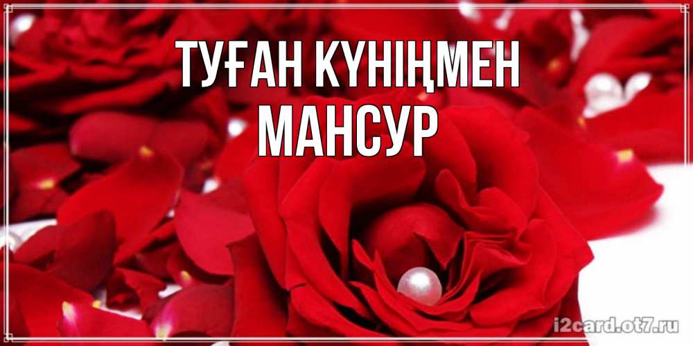 Күн сайын ашық хат с именем, Мансур Туған күніңмен роза с жемчужиной на открытке для любимых Онлайн тегін жүктеп алу тілектері бар керемет карта 