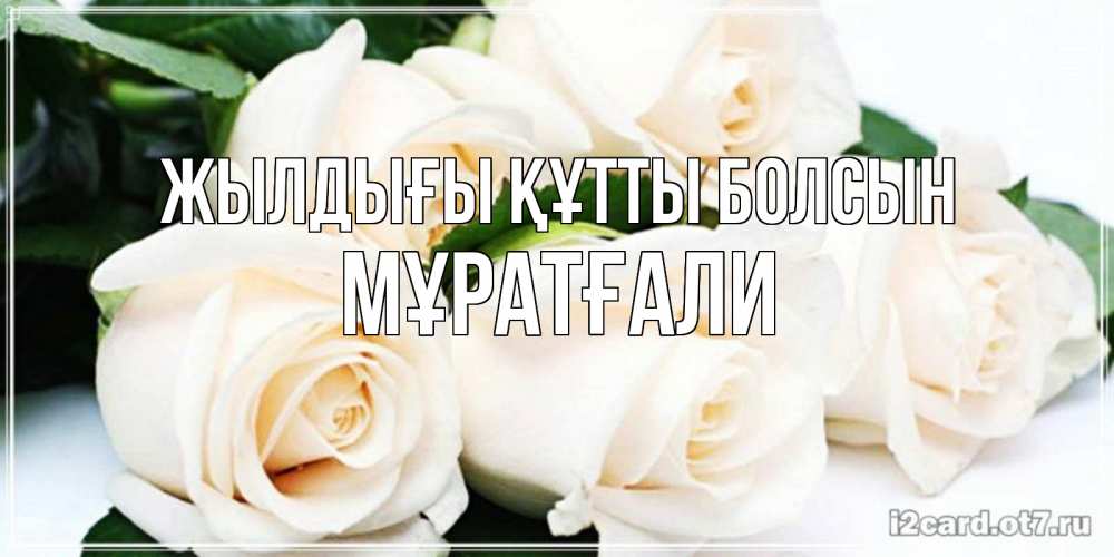 Күн сайын ашық хат с именем, Мұратғали Жылдығы құтты болсын открытка с красивыми белыми розами для родных Онлайн тегін жүктеп алу тілектері бар керемет карта 