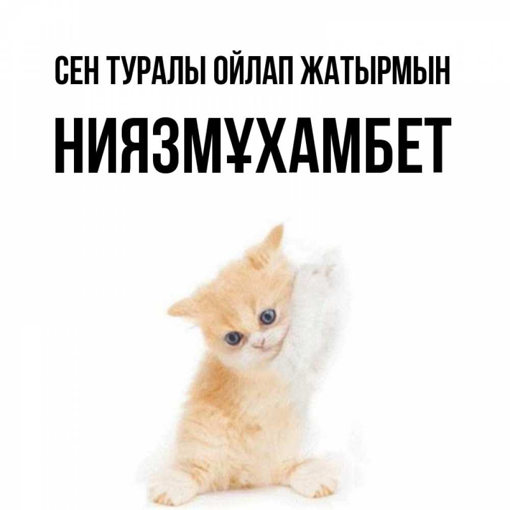 Күн сайын ашық хат с именем, НИЯЗМҰХАМБЕТ Сен туралы ойлап жатырмын зверушки и милота Онлайн тегін жүктеп алу тілектері бар керемет карта 