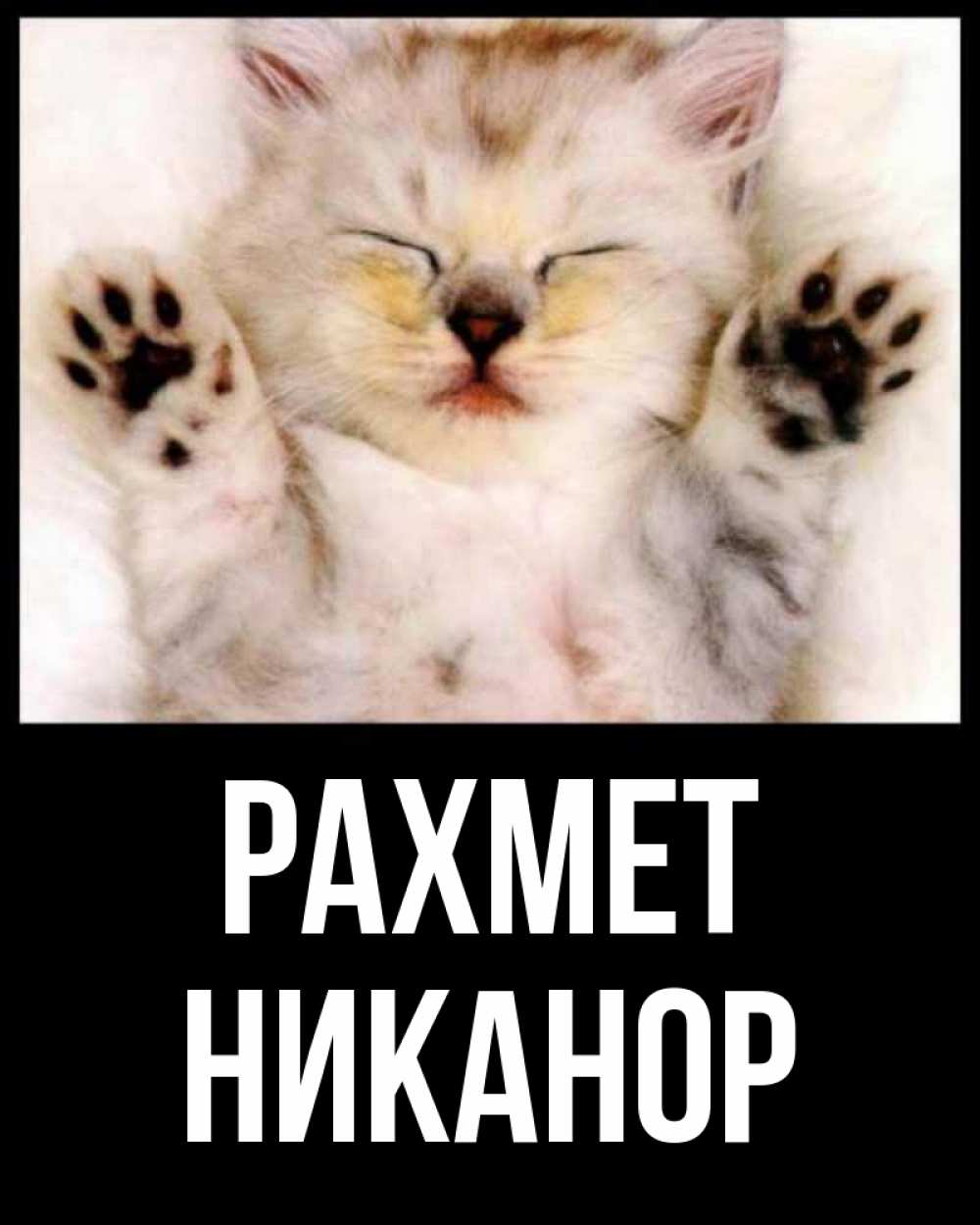 Күн сайын ашық хат с именем, Никанор рахмет маленький котенок Онлайн тегін жүктеп алу тілектері бар керемет карта 