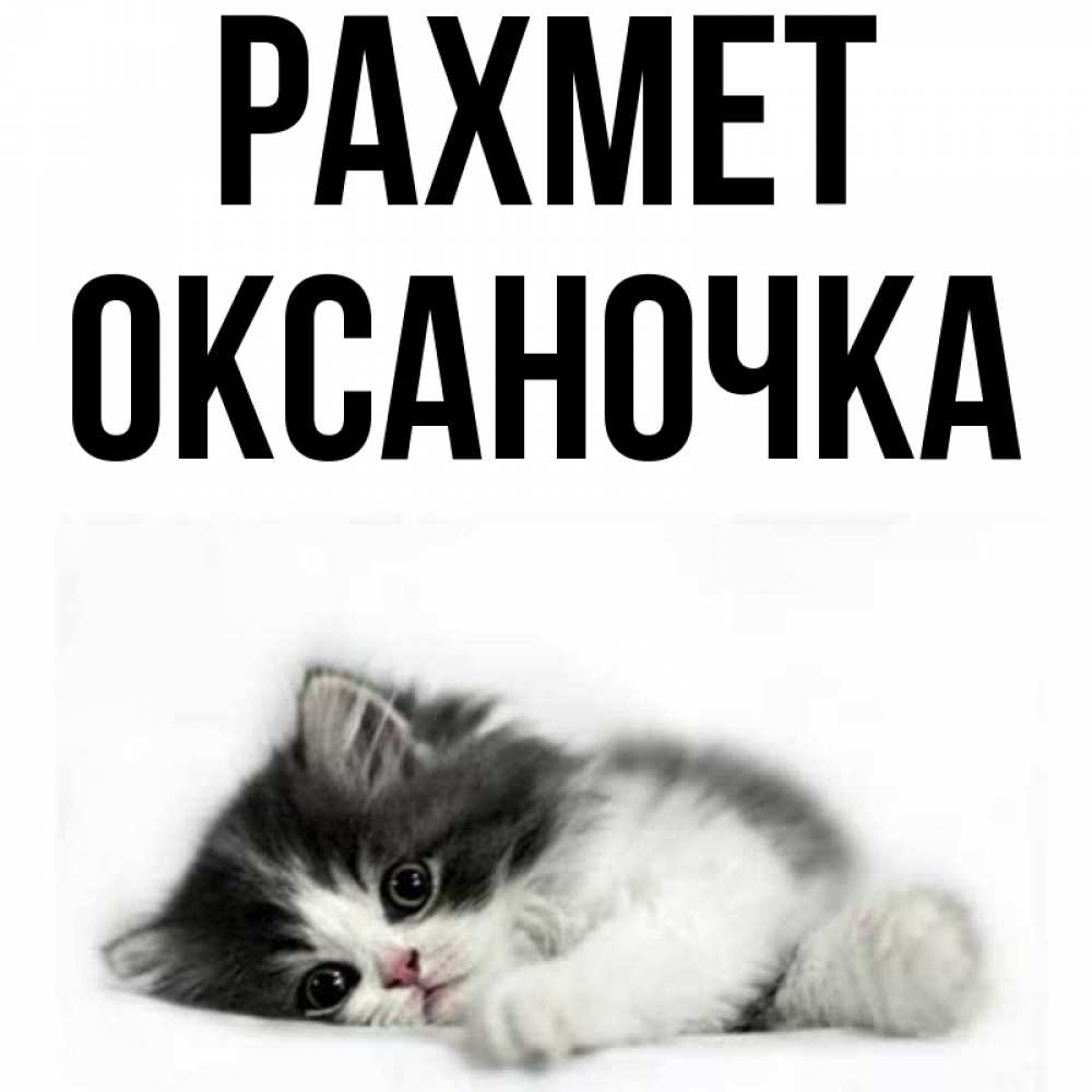 Күн сайын ашық хат с именем, Оксаночка рахмет черный и белый кот Онлайн тегін жүктеп алу тілектері бар керемет карта 