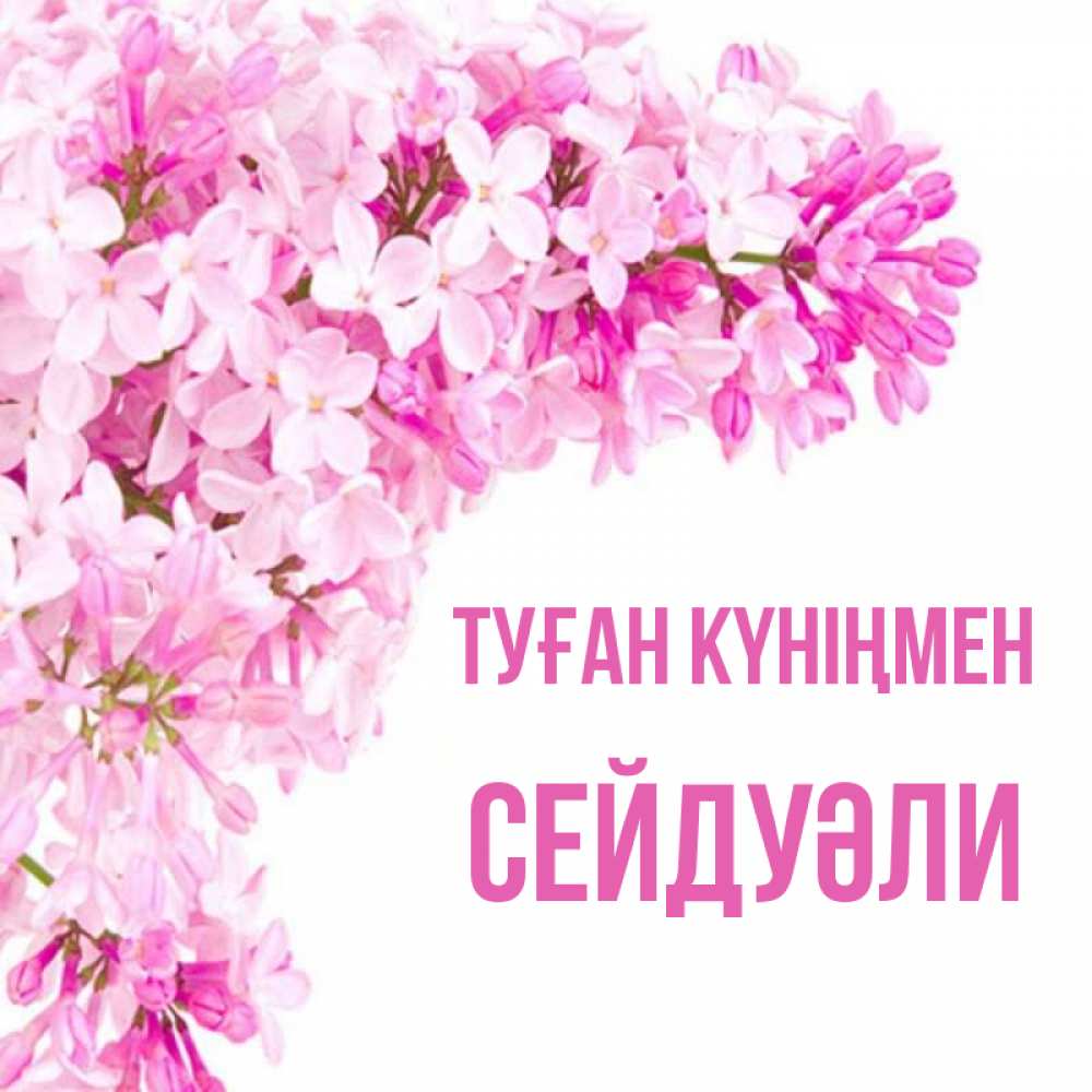 Күн сайын ашық хат с именем, СЕЙДУӘЛИ Туған күніңмен Сирень на белом фоне Онлайн тегін жүктеп алу тілектері бар керемет карта 